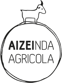 Logo AiZei