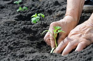passione per la terra - ai zei